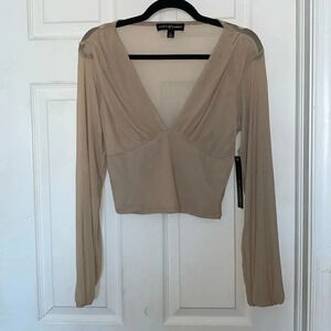 Almost Famous Sheer V-Neck Blouse